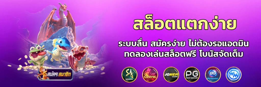 newcandy333 คาสิโน